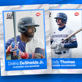 2026 Team Card Set