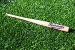 Wood Mini Bat