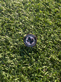Lapel Pin
