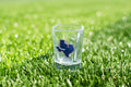 Texas Shot Glass